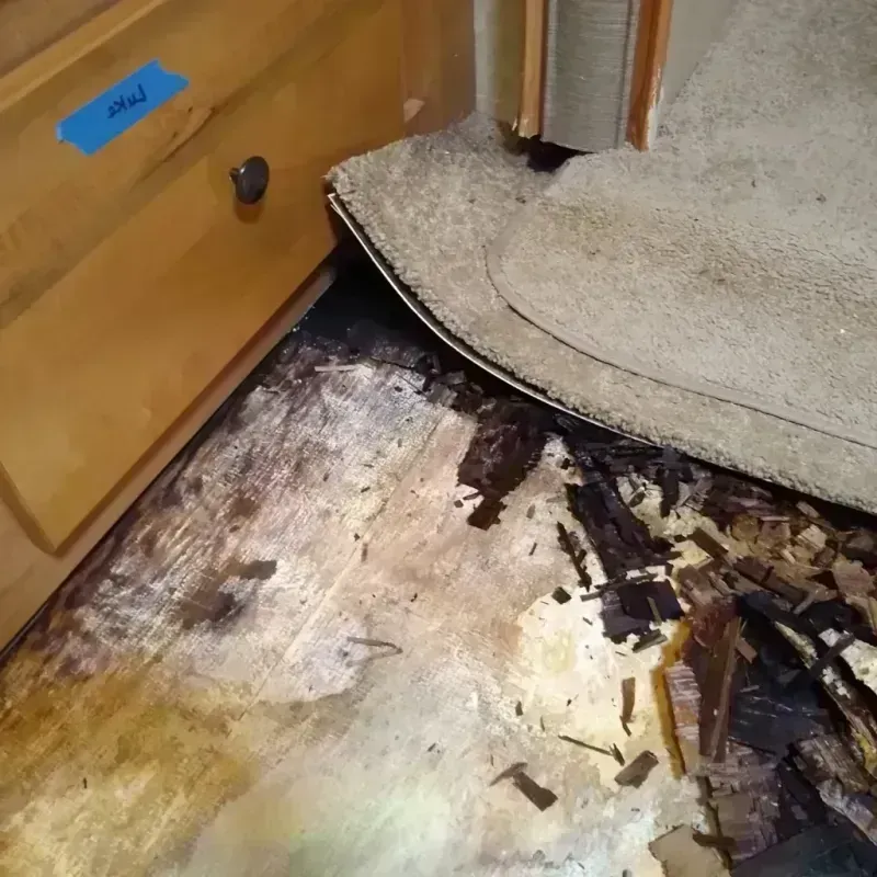 Wood Floor Water Damage in Poteau, OK